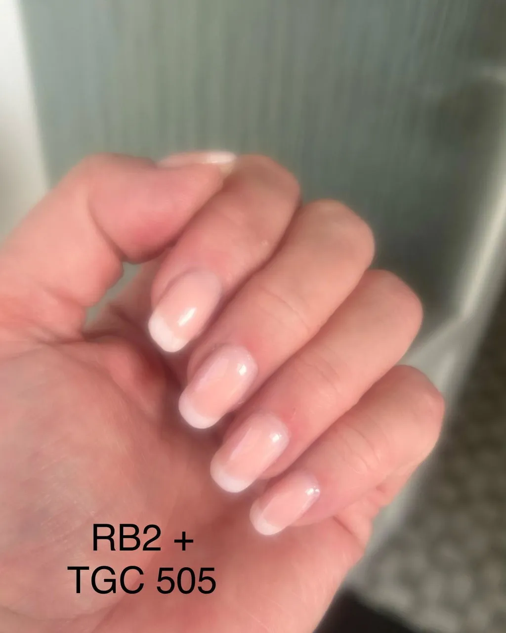 The Gel Collection Rubber Base Perfect Nude 10 ml 21FREE