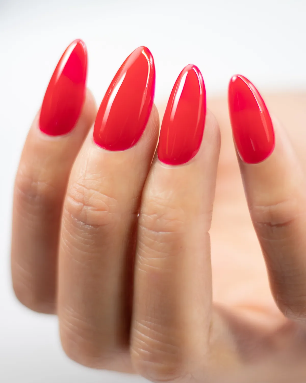 Light Elegance P+ Halloween Bundle gel polish 6x10 ml halloween