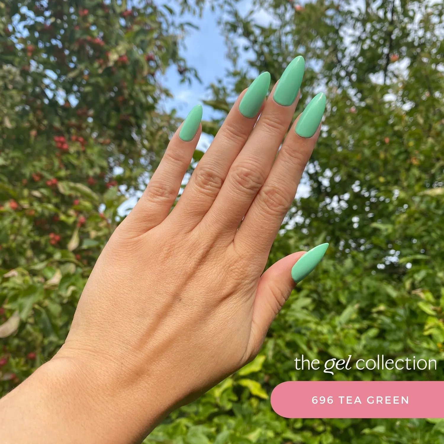 The Gel Collection 696 Tea Green gelpolish pastellgrønn 10 ml