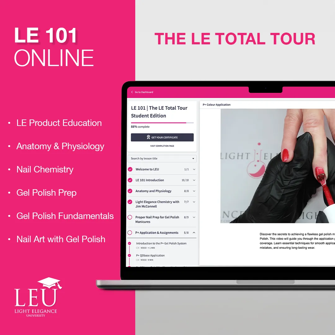 Light Elegance LEU 2.0 Bachelor's Degree nettkurs art
