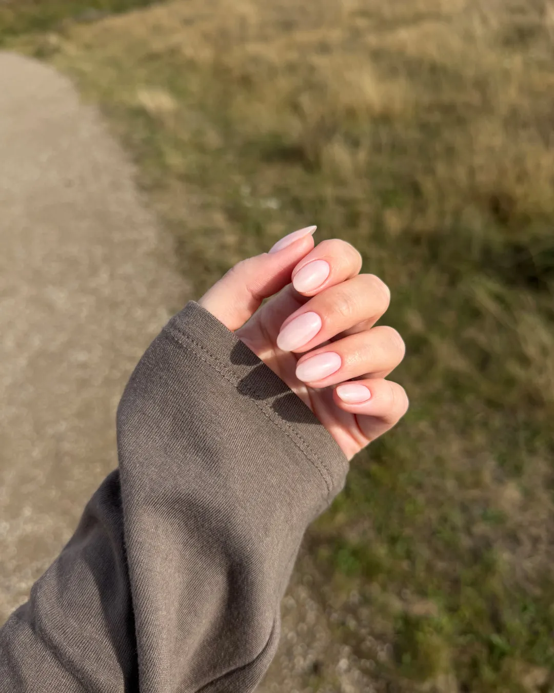 The Gel Collection Gel Polish 164 Honest Hour gellakk nude