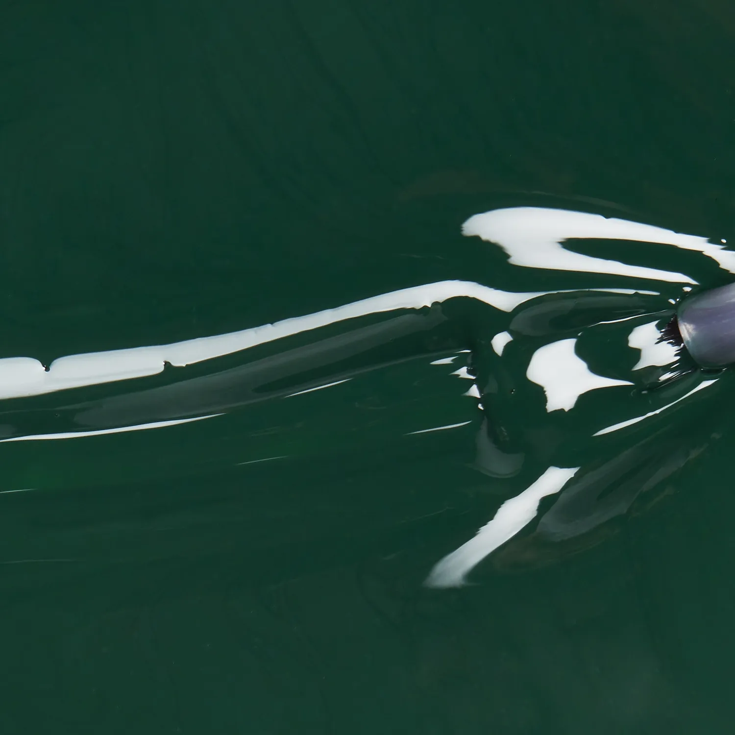 China Glaze Midnight Pine neglelakk 21-free 6 dager