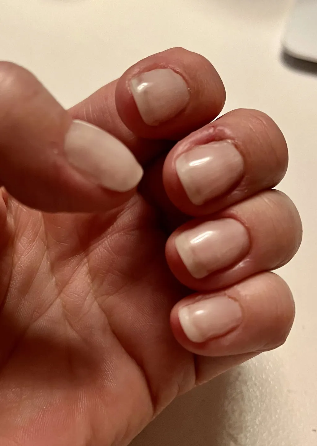 The Gel Collection PolyGel polygel Milky Pink 21FREE