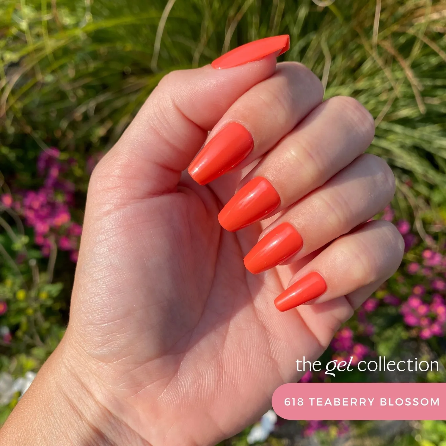 The Gel Collection 618 Teaberry Blossom gellakk 10ml oransjerød